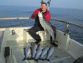 Rügens Fischerman Februar 2014 Lachsfang