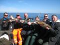 Dorschangeln in der Ostsee mit Rügens Fischerman 2016 erfolgreich