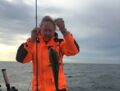 Dorsch gefangen Juni 2019 mit Rügens Fischerman