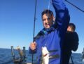 Dorschfang im Juni 2019 mit Rügens Fischerman