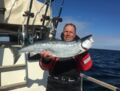 Lachssaison 2019 der Mai mit Rügens Fischerman